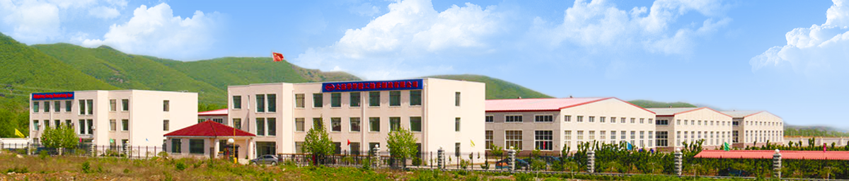 Dalian Tianshu Bearing Technology Co., Ltd.