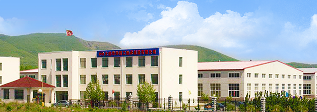 Dalian HuaYang JingGong Bearing Manufacturing Co.,ltd.